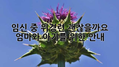 임신 중 위경련, 괜찮을까요? 엄마와 아기를 위한 안내