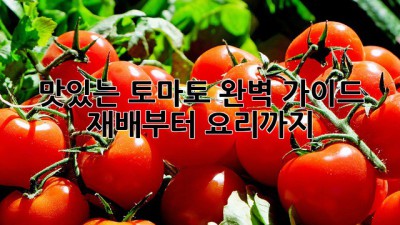맛있는 토마토 완벽 가이드: 재배부터 요리까지🍅