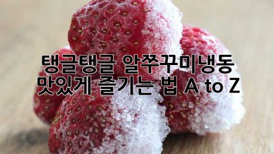 탱글탱글 알쭈꾸미냉동🐙 맛있게 즐기는 법 A to Z